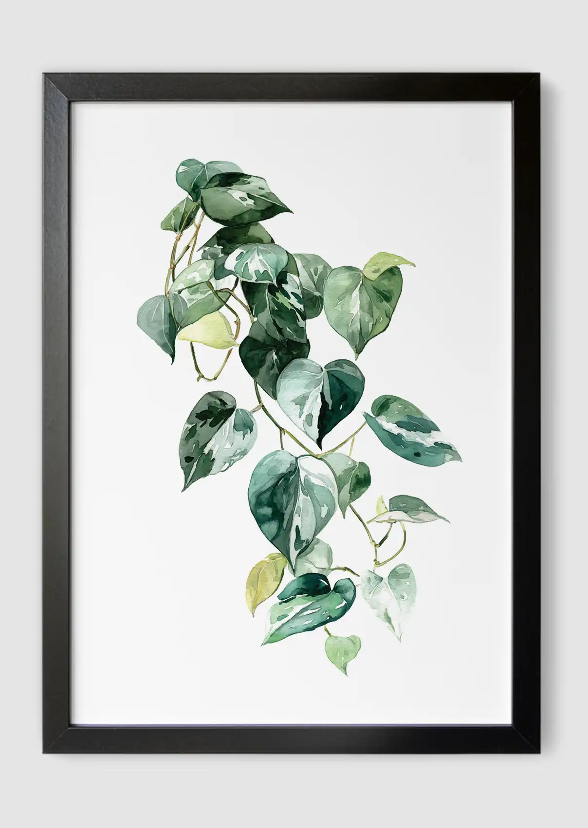 Heart Of Pothos Black