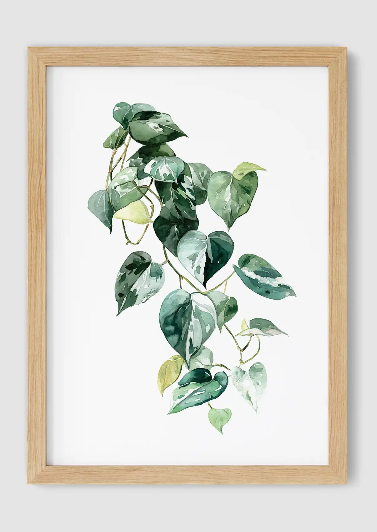Heart Of Pothos Oak