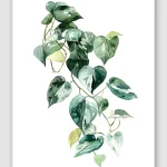 Heart of Pothos