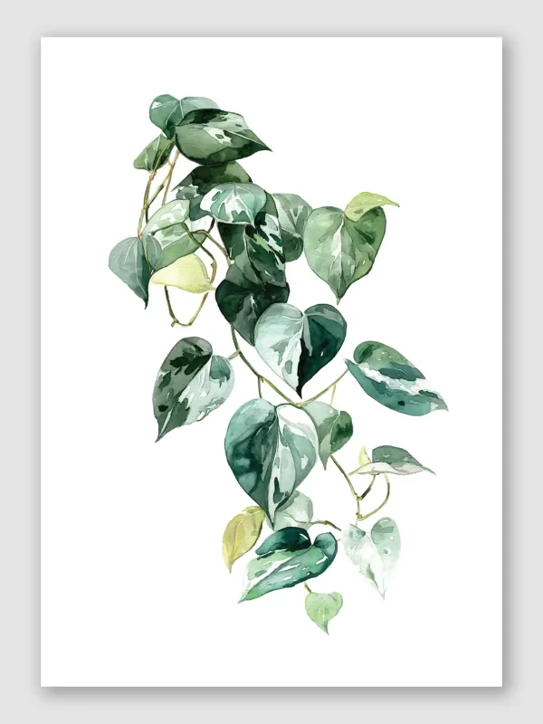 Heart Of Pothos Unframed
