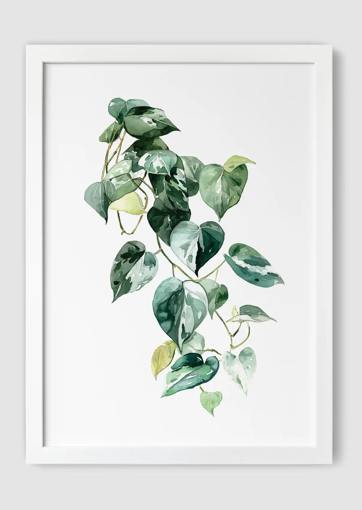 Heart Of Pothos White