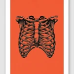 Bone Cage